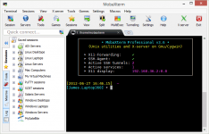 MobaXterm Professional 23.3 instaling