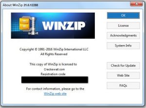 winzip 25.0