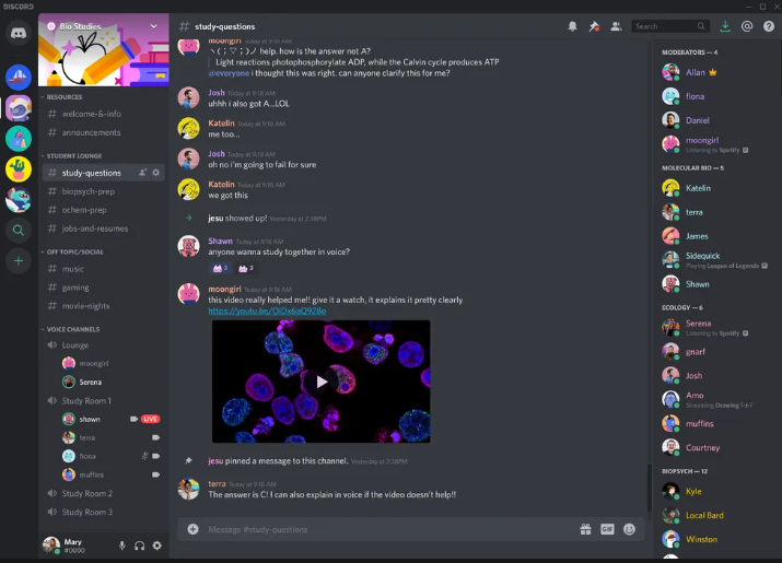 Discord Crack